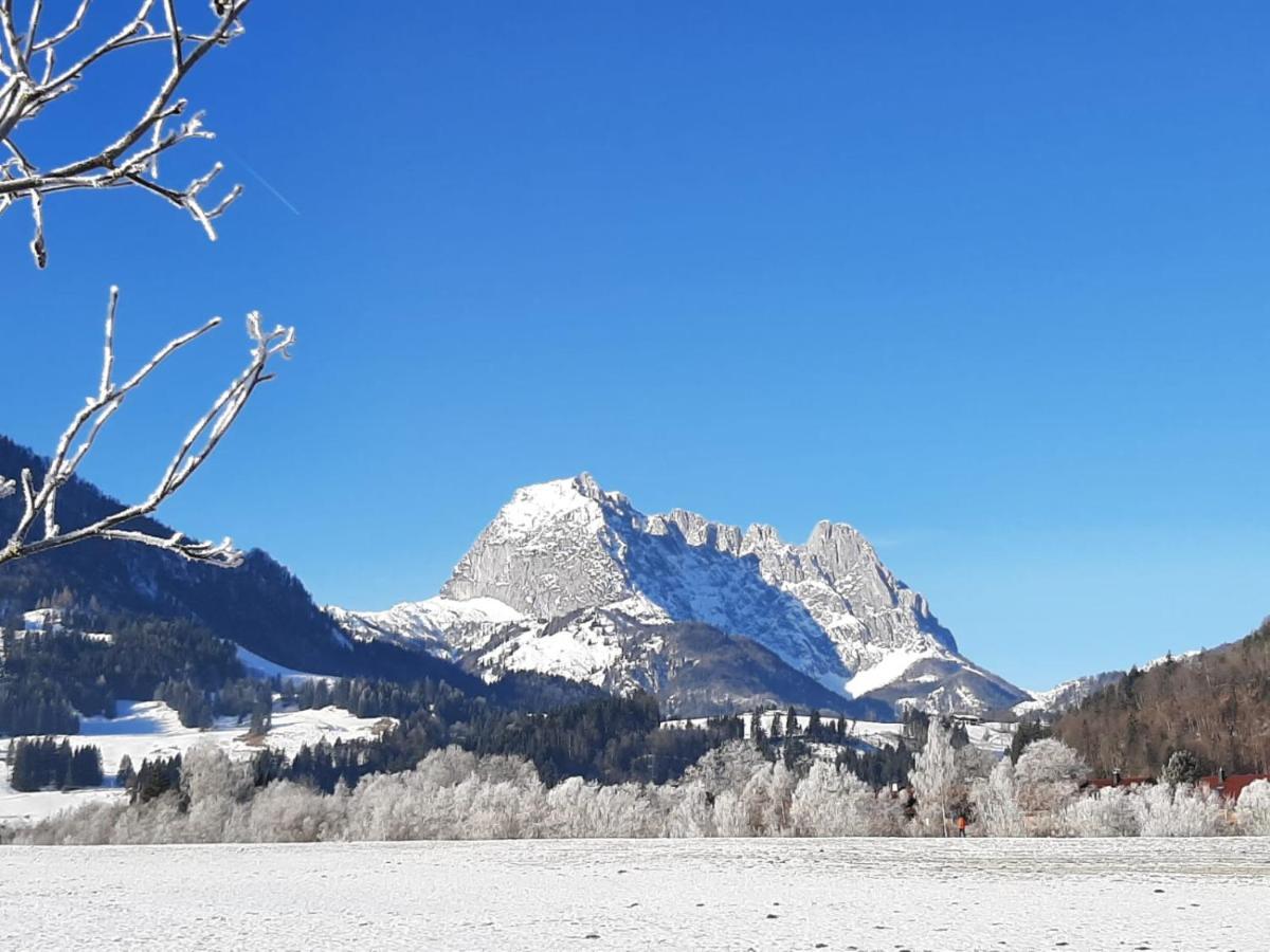 Tiroler Ferienwohnungen Haus Petra Kirchdorf in Tirol Bagian luar foto
